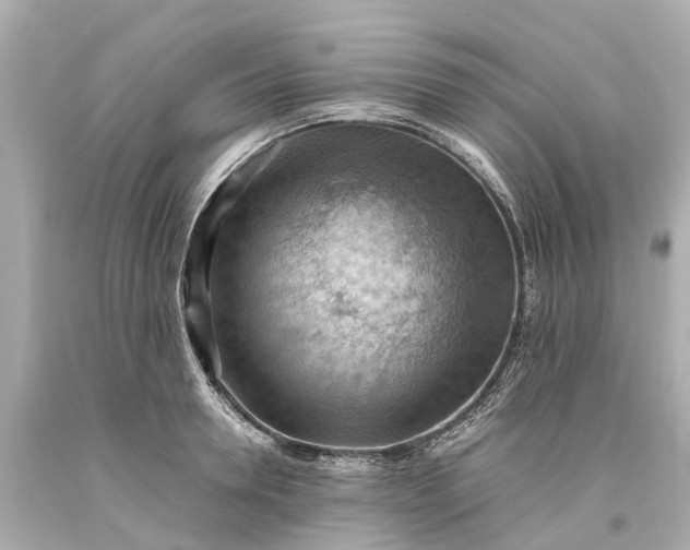 X0000093590946200710291119