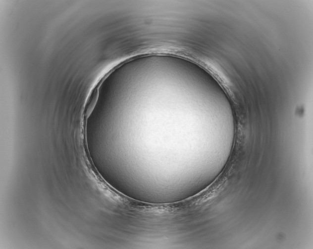 X0000093590948200710291119
