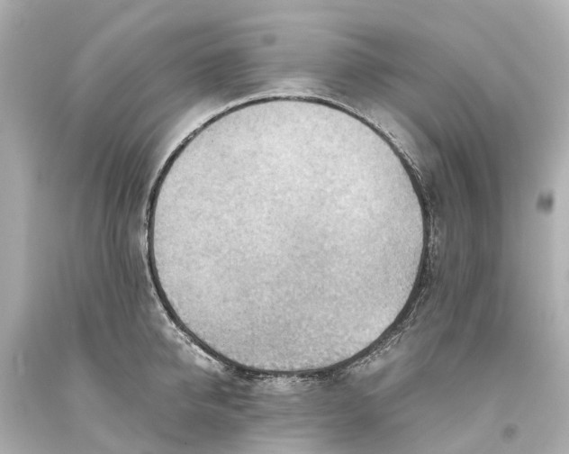X0000093590950200710291119