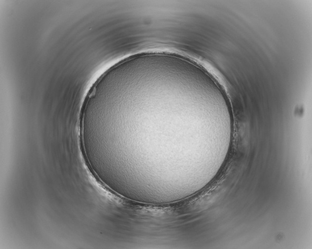 X0000093590951200710291119