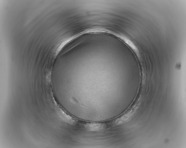 X0000093590953200710291119