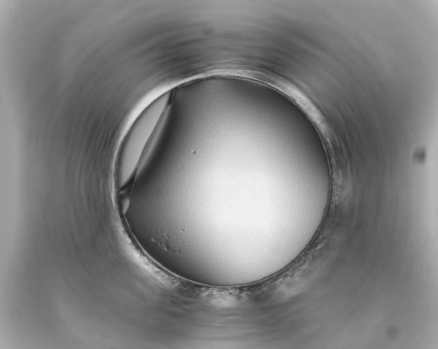 X0000093590955200710291120