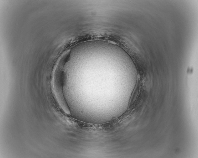 X0000093590961200710291119