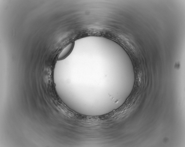 X0000093590964200710291119