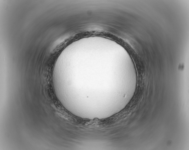 X0000093590967200710291119