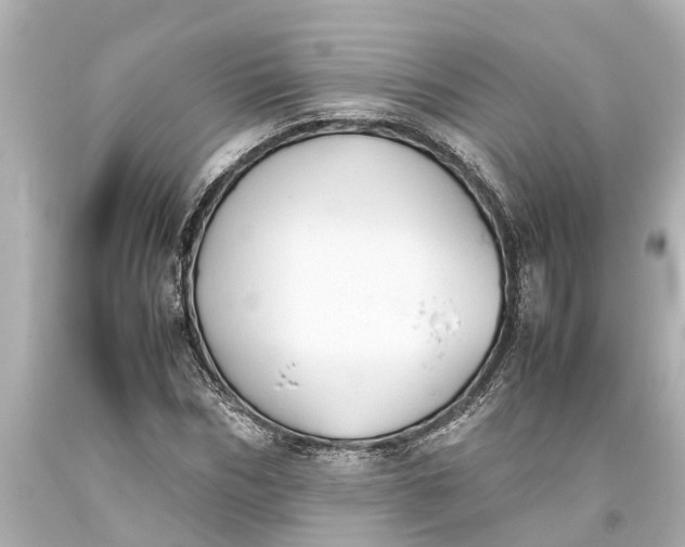 X0000093590970200710291119