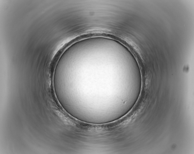 X0000093590973200710291118