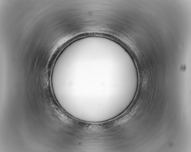X0000093590974200710291118