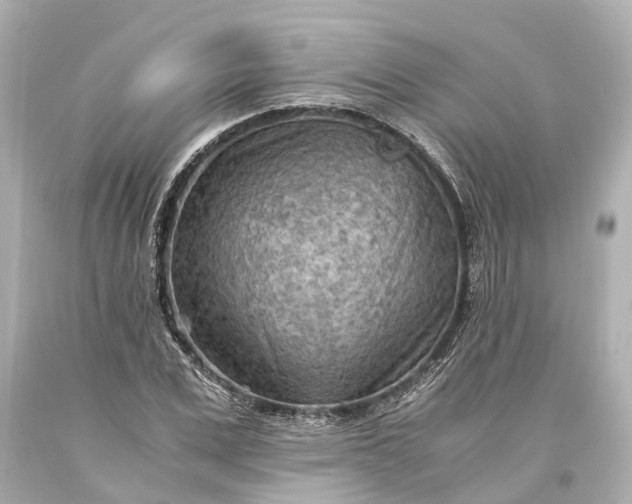 X0000093590975200710291118