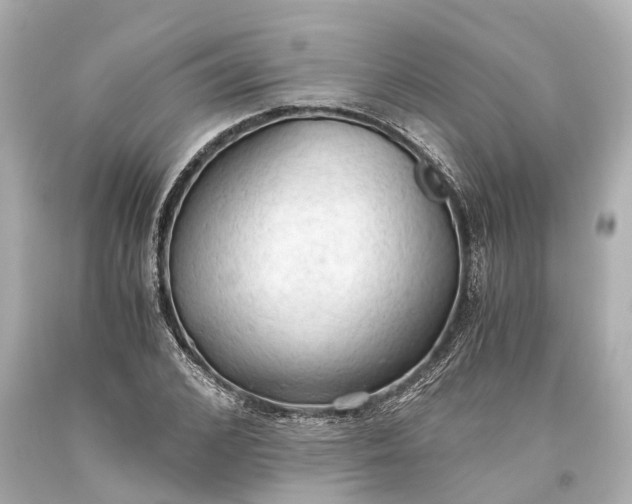 X0000093590976200710291118