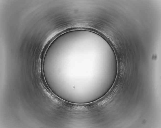 X0000093590982200710291118