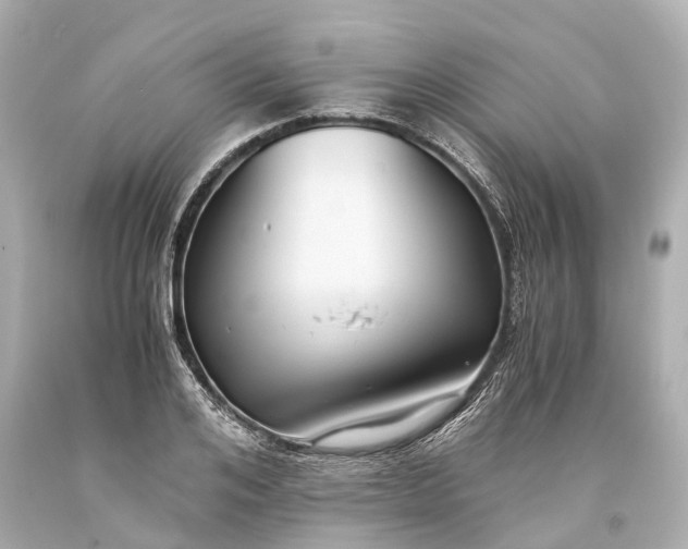 X0000093590984200710291118