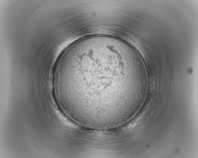 X0000093590987200710291118