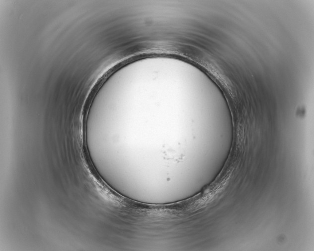 X0000093590988200710291118