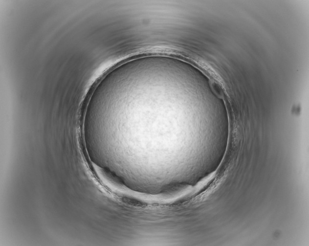 X0000093590989200710291118