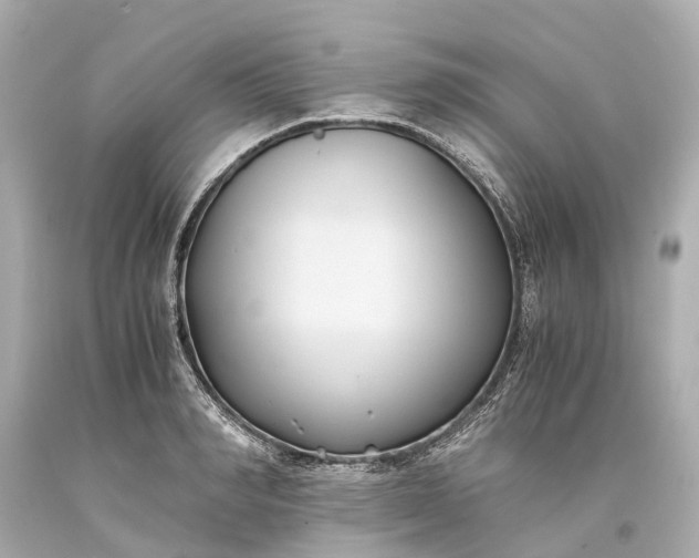 X0000093590990200710291118