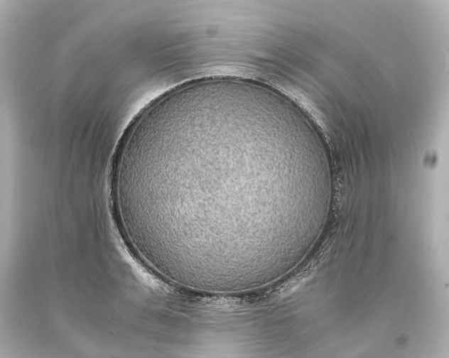 X0000093590991200710291118
