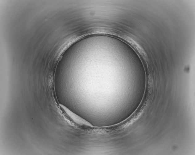 X0000093590993200710291118