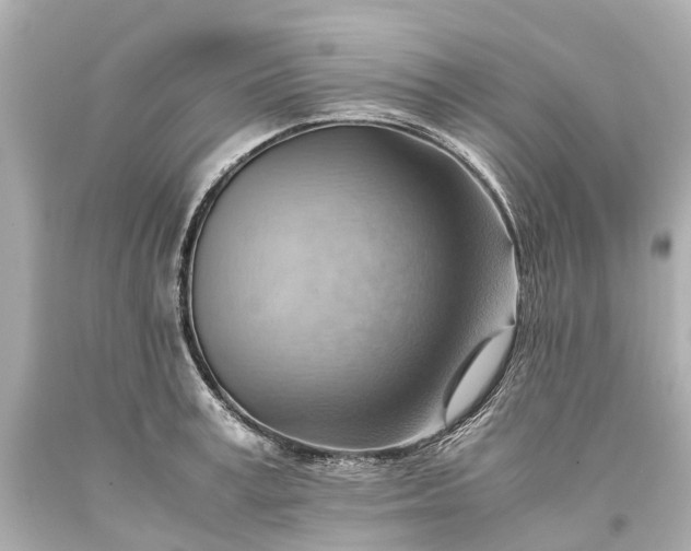X0000093590995200710291118