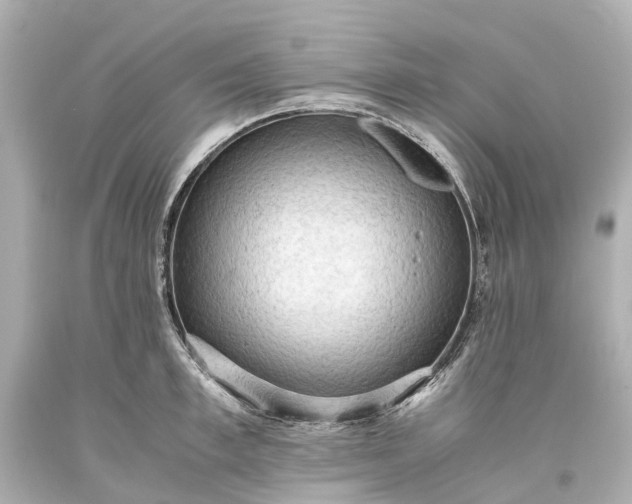 X0000093590997200710291118