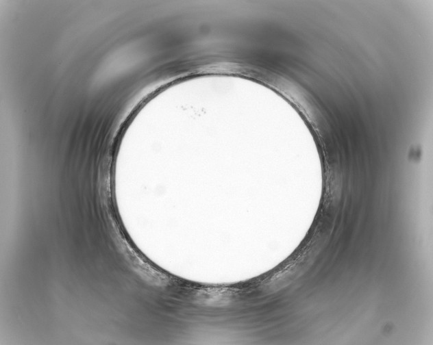 X0000093591000200710291118