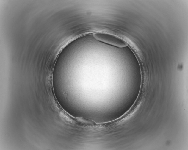 X0000093591001200710291118