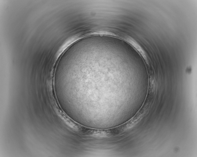 X0000093591002200710291118