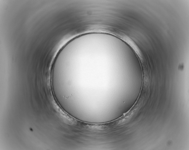 X0000093591004200710291118