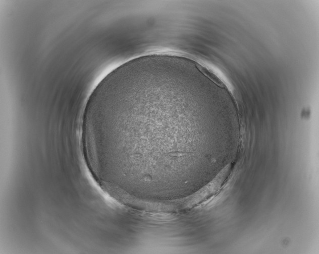 X0000093591007200710291118