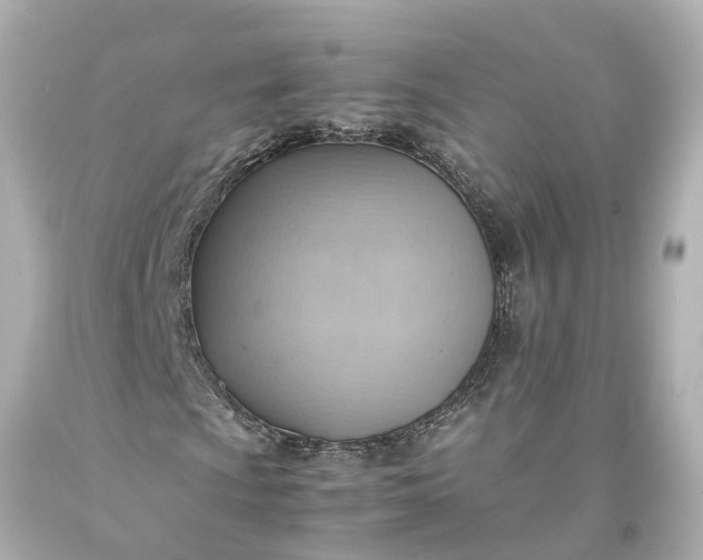 X0000093591009200710291117