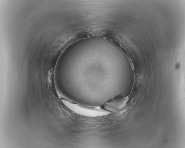 X0000093591010200710291117