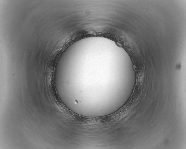 X0000093591012200710291117