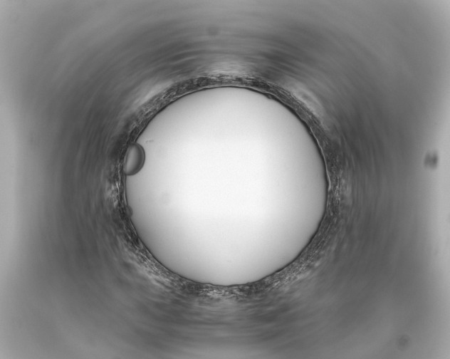 X0000093591015200710291117