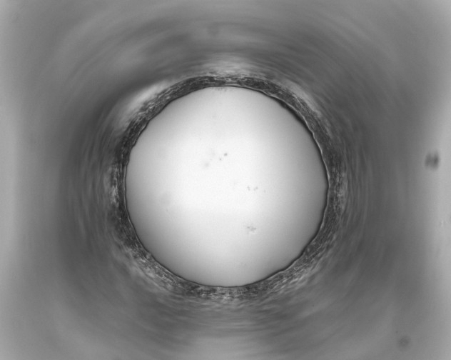 X0000093591016200710291118