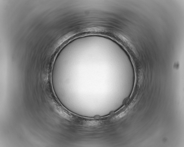 X0000093591017200710291118