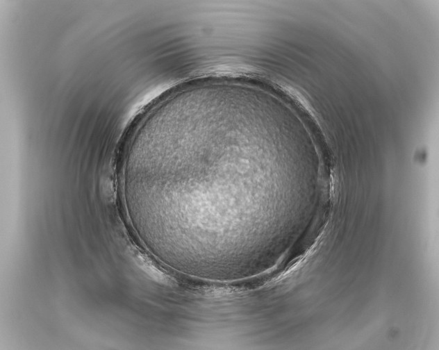 X0000093591018200710291118