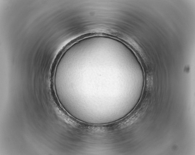 X0000093591020200710291118