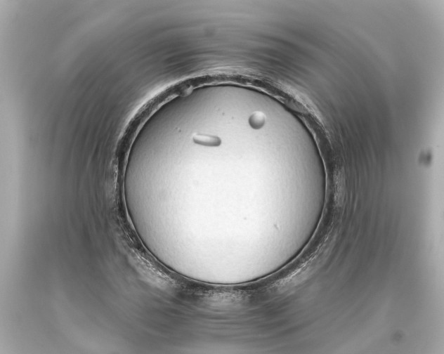 X0000093591021200710291118