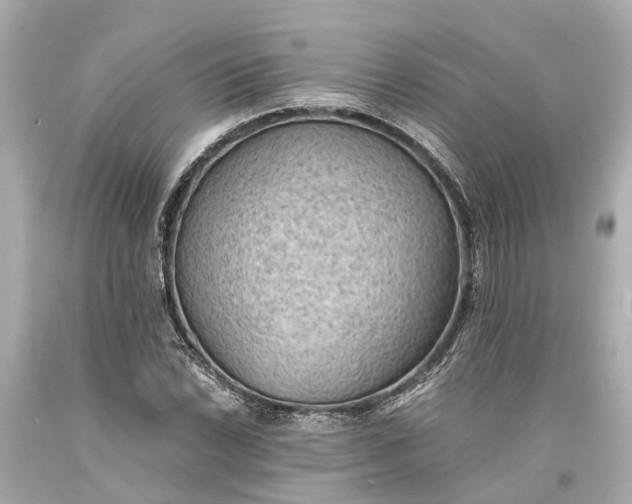 X0000093591022200710291118
