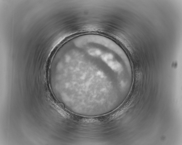 X0000093591023200710291118