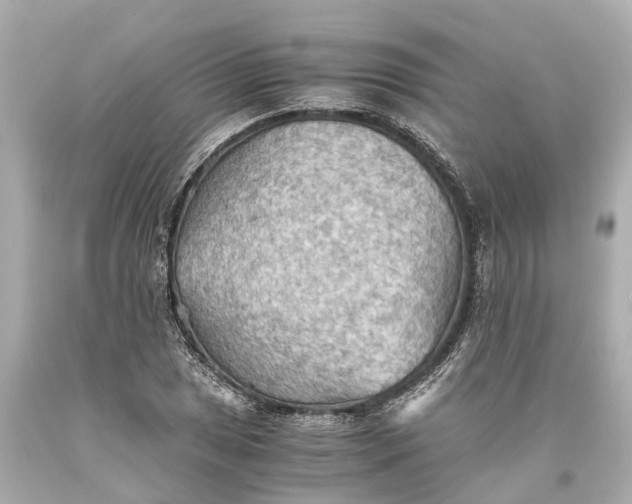 X0000093591025200710291118