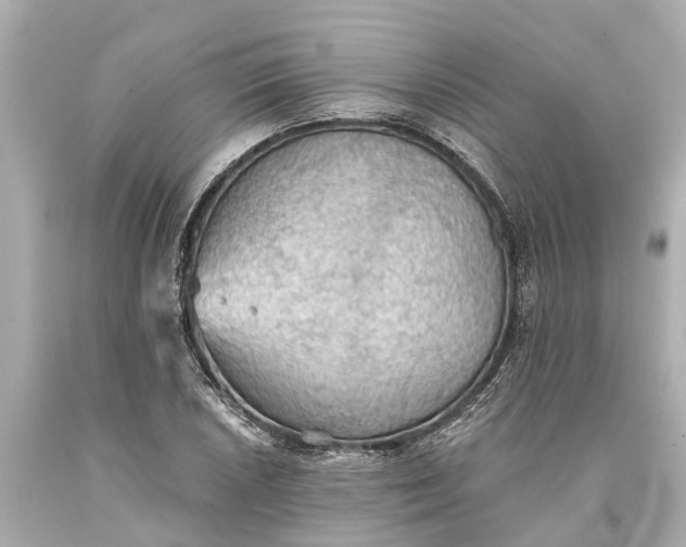 X0000093591026200710291118