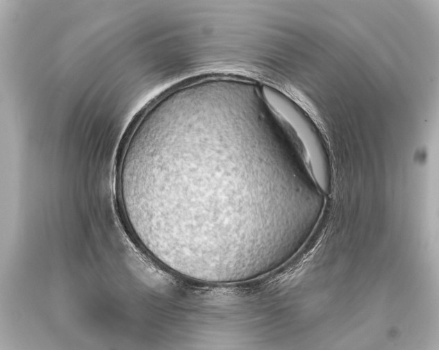X0000093591028200710291118