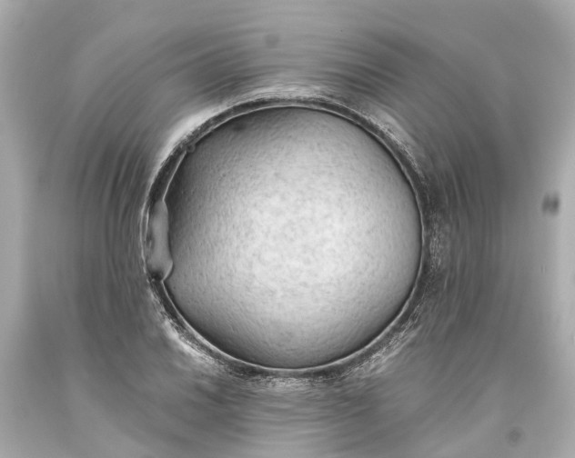 X0000093591030200710291118