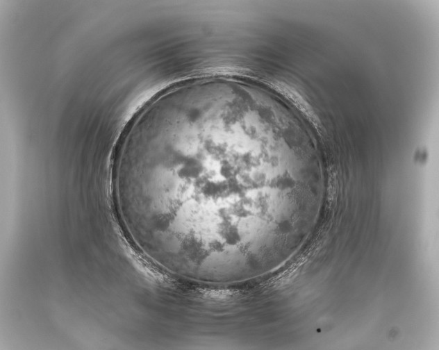 X0000093591031200710291118