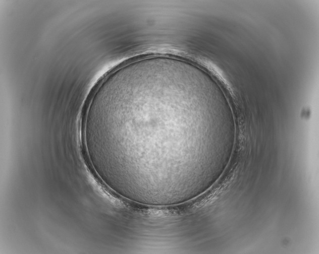 X0000093591032200710291118