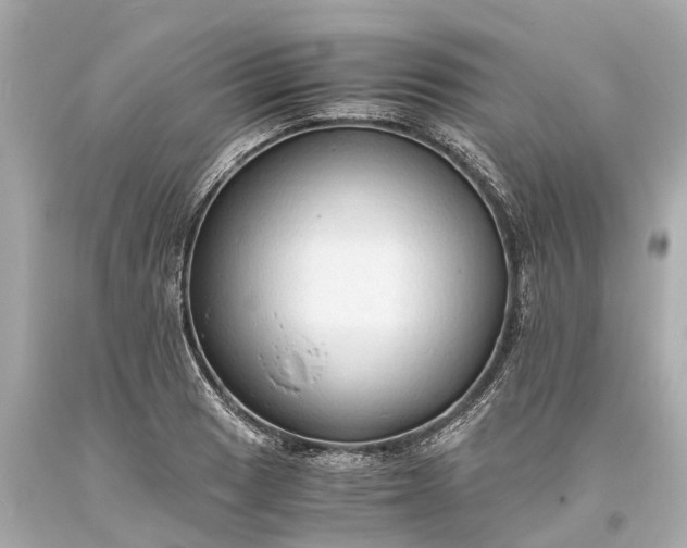 X0000093591033200710291118