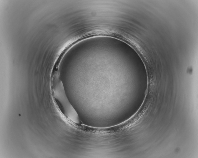 X0000093591034200710291118