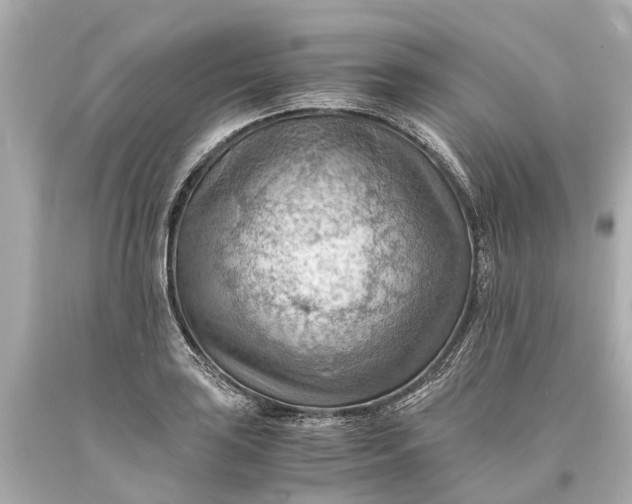 X0000093591035200710291118