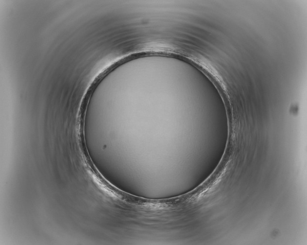 X0000093591037200710291118